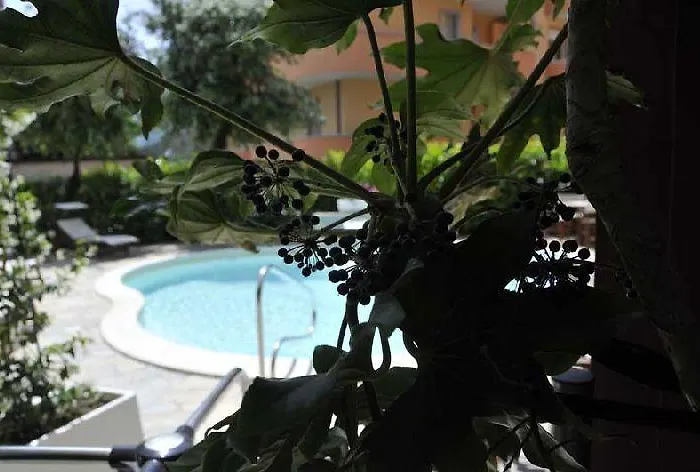 Szálloda Hidalgo 3*